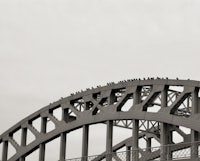 a black and white photo of birds perched on a bridge