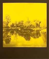 a yellow polaroid photo of a pond